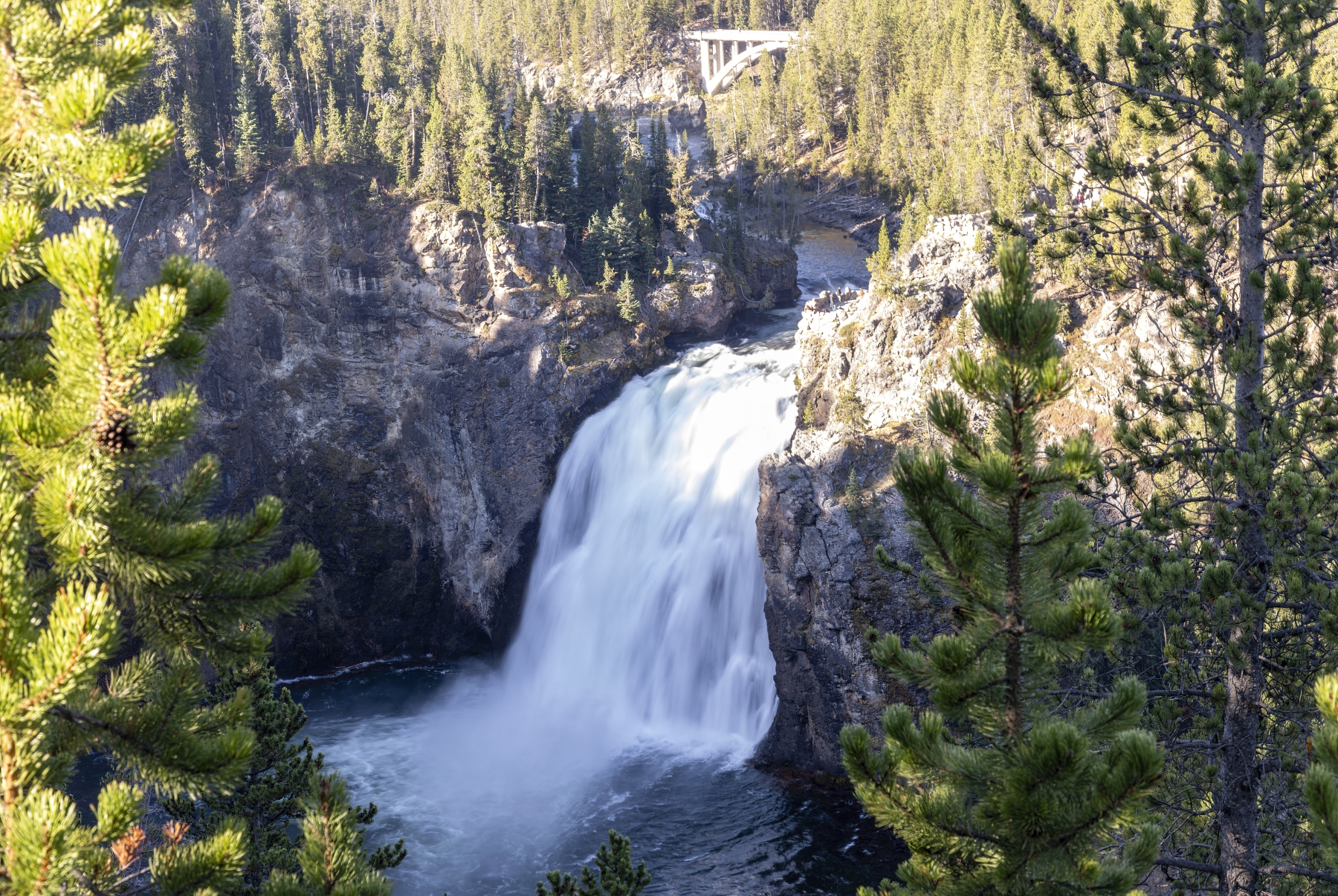 /gallery/north_america/USA/Wyoming/yellowstone/Upper Falls Yellowstone River 2024-004_med.jpg